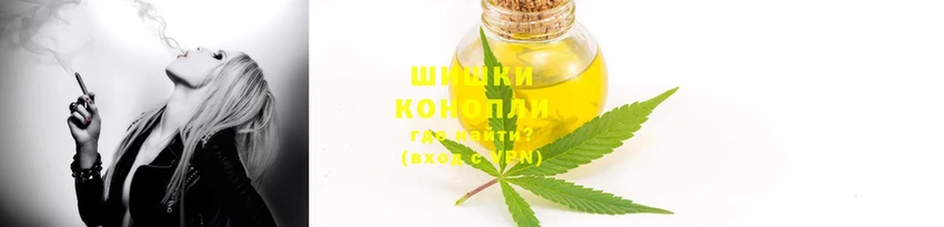 PSILOCYBIN Нефтекумск