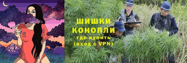 спайс Нея