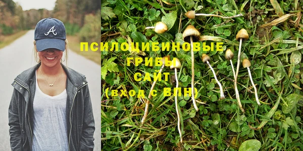 спайс Нея