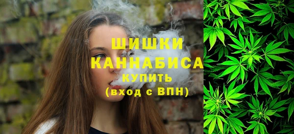 PSILOCYBIN Нефтекумск